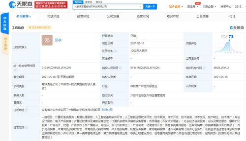 京東云計算拓展智能城市版圖，新設科技公司布局動漫游戲開發(fā)與系統(tǒng)集成